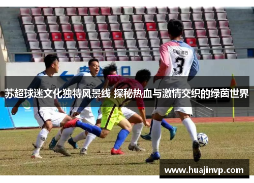 苏超球迷文化独特风景线 探秘热血与激情交织的绿茵世界